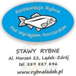 Rybna Pod Wyciągiem Narciarskim Dania