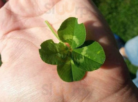 Pittu Pittu Extérieur