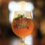 Elephant Belgian Pub Dania