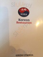 Sora inside