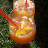 Winiarnia GĄski Dentro