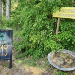Karczma Jasnochowka Dania