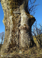 Osrodek Szkoleniowo Wypoczynkowy- Wolosan, Cisna, Bieszczady outside