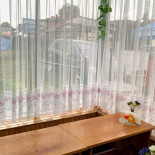 Akwarium À l'intérieur