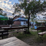 Borowik Na zewnątrz