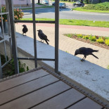 Bistro Centrum Extérieur