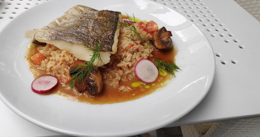 Gwiazda Morza Comida