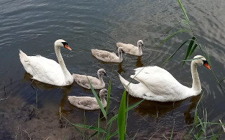 Megalopark Libiąż Szyjki Exterior