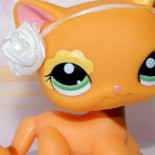 Mcdonald's Nourriture