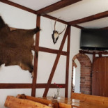 Karczma Krzewi Róg À l'intérieur