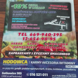 Davinci. Pizzeria. Myśków M. Menu