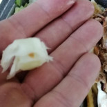 Mezban Lebanese Grill Kebab Zagan Dania