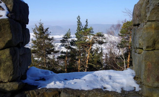 Castle Rock Forest outside