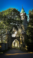 Castle Rock Forest outside