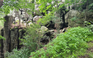 Castle Rock Forest outside