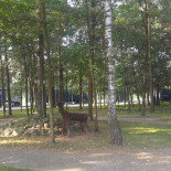 Nowy Dworek Extérieur