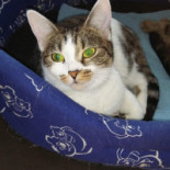 Zajazd "zagroda” Carte