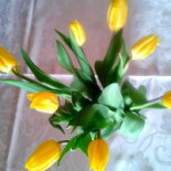 Krakowiak Nourriture