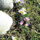 Krakowiak Extérieur