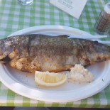 Smazalnia U Grubego Dania