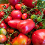 Pizzeria Roma Gastronomia Ewa Wojciechowska Nourriture