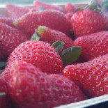 Smak Natury Nourriture