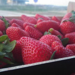 Smak Natury Nourriture