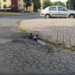 Pizzeria Pollo Na zewnątrz