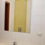 Amaryllis À l'intérieur