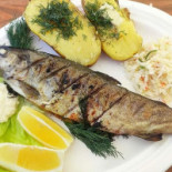 Alibi Grill Jedzenie Picie Nocne Życie Comida