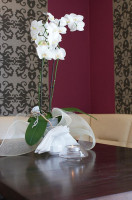 -o-metr À l'intérieur