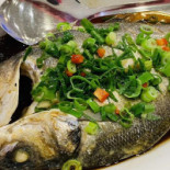 Huaqiao Dania