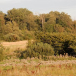 Agrostop Ii Katarzyna Grabowska Na zewnątrz