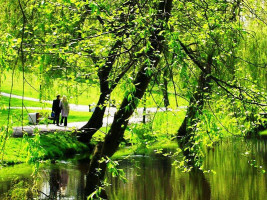 Pizzeria Primavera Extérieur