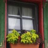 Jaśkowa Dolina Extérieur