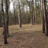 Dwór Celejów Na zewnątrz