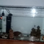 Sadowianka. À l'intérieur