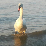 Decha U Lecha Exterior