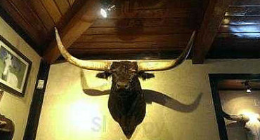 Jaś Kowalski Klub Dentro