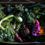 Pub Piwiarnia Warka Bebida