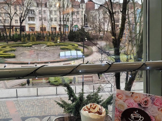 Salon Kawy I Ekspresów Oraz Podkowa Café