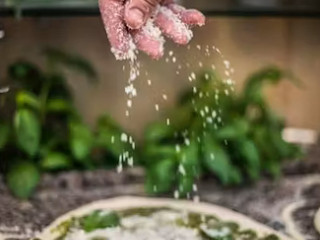 Da Alessandro Pizzeria E Cucina Italiana