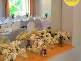 Lemon Tree And Garden