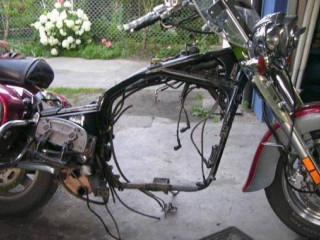 Stajnia Mustangow Dariusz Pawluczuk