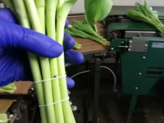 Alexand Andrzej Juszynski