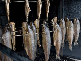 Tinca Nov Przetwornia Ryba Rafal Achinger