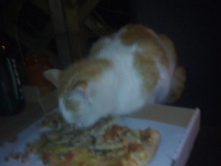 Wypas Pizza