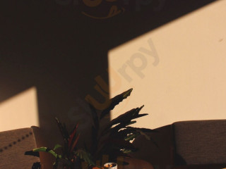 Individual: Coffee Friends