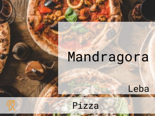 Mandragora