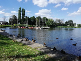 Central Wake Park